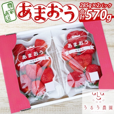 【先行受付】あまおうスタンダード2パック　570g(岡垣町)【配送不可地域：離島】