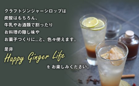 宮崎産ブランド生姜のみを使用 『HOLIC MAKERS』 クラフトジンジャーシロップ 300ml×2本 ジンジャーシロップ 300ml 2本 ジンジャー シロップ 希釈 宮崎産 国産 福しょうが 瓶
