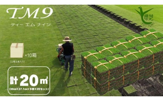 【2026年9月中発送限定】芝生(省管理型コウライ芝　TM9ティーエムナイン)20束セット※20平米分【芝生 芝 トヨタ トヨタ自動車 家庭用 痛くない 日本芝 ガーデニング 20平米 20㎡ 20平