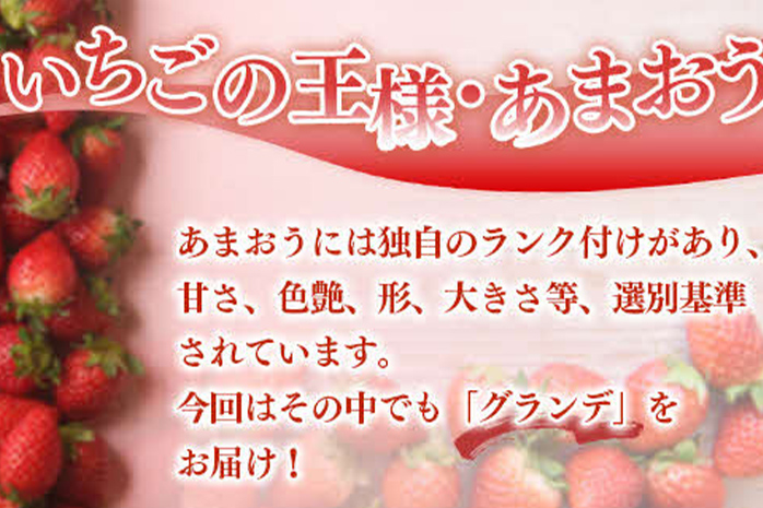 福岡県産 あまおう 500g （250g×2パック） いちご 1月中発送 いちご 苺 フルーツ 果物 くだもの 大粒Gサイズ グランデ 農家直送 大粒 不揃い 福岡県 福岡 九州 グルメ お取り寄せ