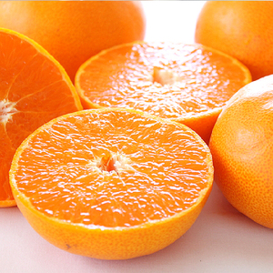 【2月中旬から発送】 せとか ＜ 秀品 ＞ 約3kg 贈答用高級化粧箱入り | せとか くだもの せとか デザート せとか 高評価 せとか フルーツ せとか 人気 みかん おすすめ みかん 国産 みか