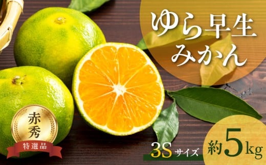 BF6059_【2025年先行予約】ゆら早生みかん 赤秀品 3Sサイズ 5kg