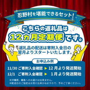 ＼＼忍野プレミアムセレクト／／＜満喫よくばり12ヶ月定期便＞【全12回】