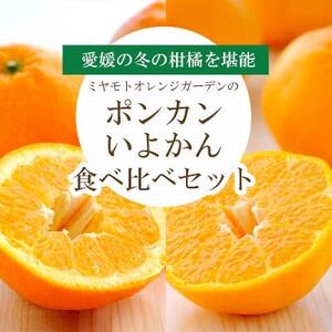 愛媛の新春柑橘を食べ比べ! ポンカン・いよかんセット便【訳あり】【C25-194】【複数個口で配送】【4066395】