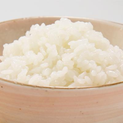 ふるさと納税 大潟村 パックライス専用ブレンド 秋田米100%のご飯(パックライス) 180g10パック×4袋セット |  | 02