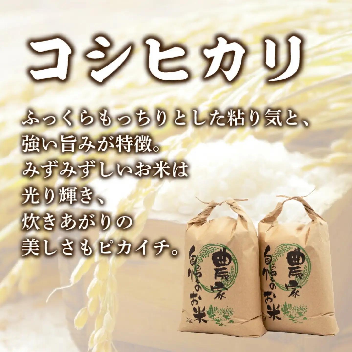 コシヒカリ10kg（5kg×2袋）＜都留市産＞【令和7年産】　　お米　米　おコメ　コメ　コシヒカリ　こしひかり