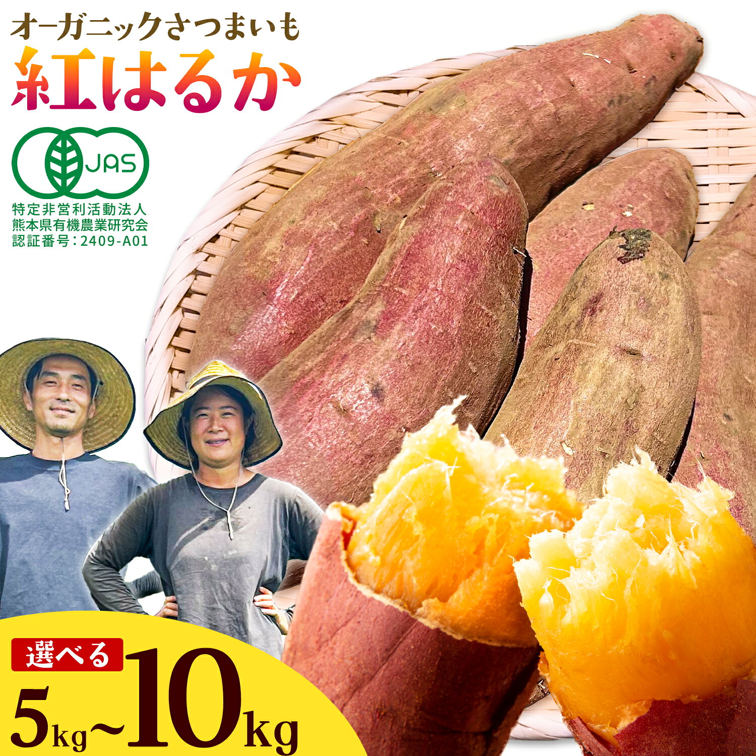 【ふるさと納税】有機JAS認定 紅はるか 農園ベルの樹《12月上旬-3月下旬頃出荷》熊本県 南阿蘇村 さつまいも オーガニック 有機栽培 薩摩芋