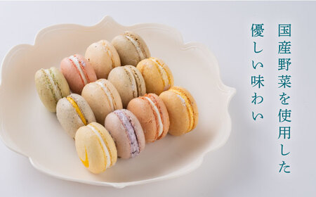 マカロン12個セット　よこすかfarmersSelection マカロン　お菓子　スイーツ 野菜　【マカルース】[AKGS002]