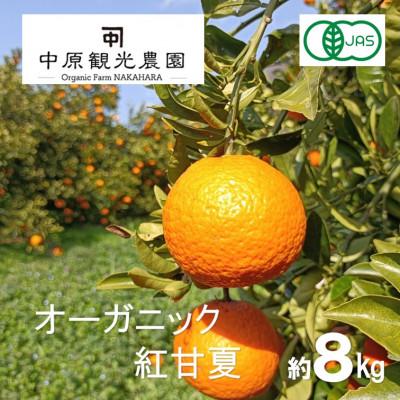 ふるさと納税 大崎上島町 【3月下旬〜4月発送】中原観光農園 大崎上島産 オーガニック紅甘夏 約8kg　有機JAS認証
