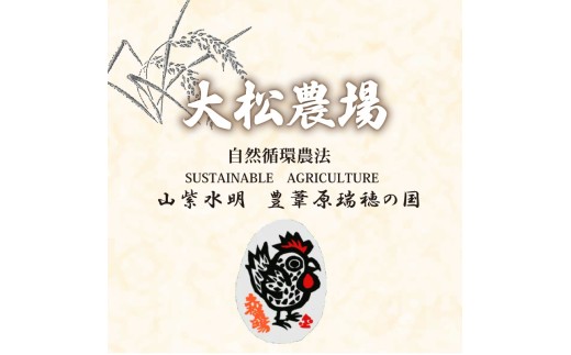 卵 純国産 大松農場の卵 計 30個 養鶏 平飼 鶏卵 卵 たまご 鶏卵 にわとり 新鮮 こだわり 朝食 昼食 夕食 目玉焼き 卵焼き 玉子焼き たまご焼き 卵かけご飯 たまごかけご飯 オムレツ ゆで卵 卵料理 生卵 国産 産地直送 安心 安全 破損保証 割れ保証 送料無料 千葉県 旭市 大松農場 omf002