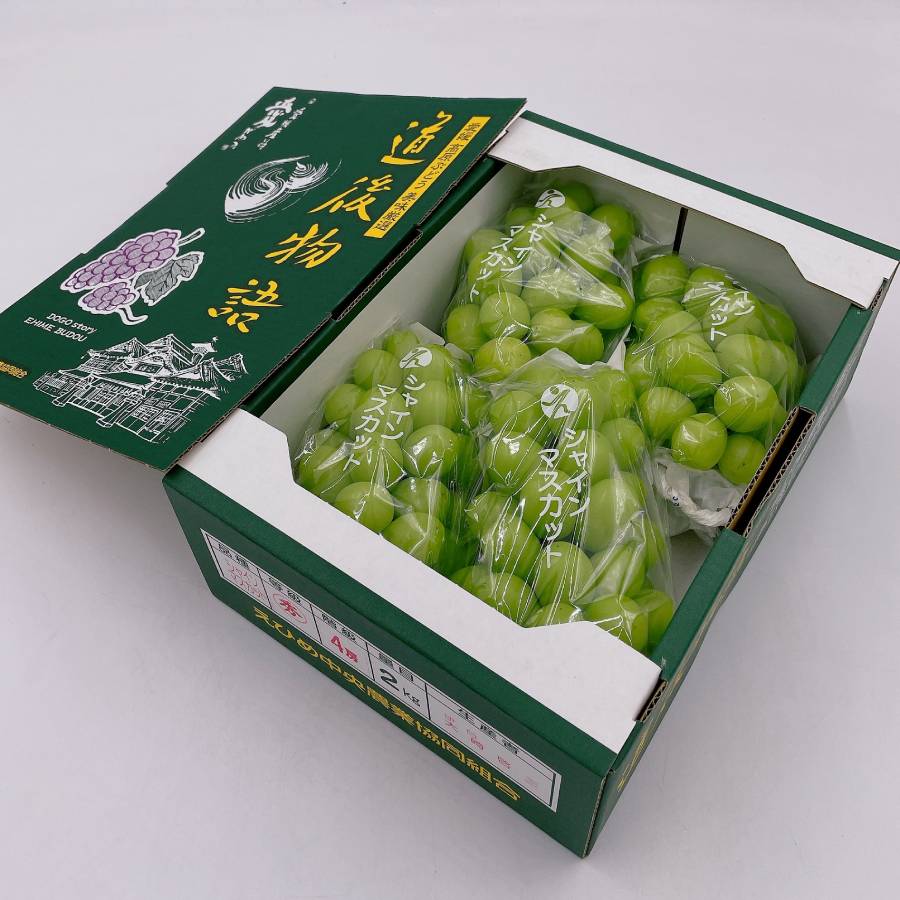 ＜愛媛県産＞「道後物語」シャインマスカット4～5房　計2kg