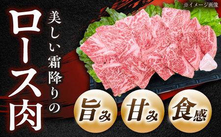 飛騨牛 A5 ロース 1kg / 恵那市 / 東美濃農業協同組合 [AUFX009]