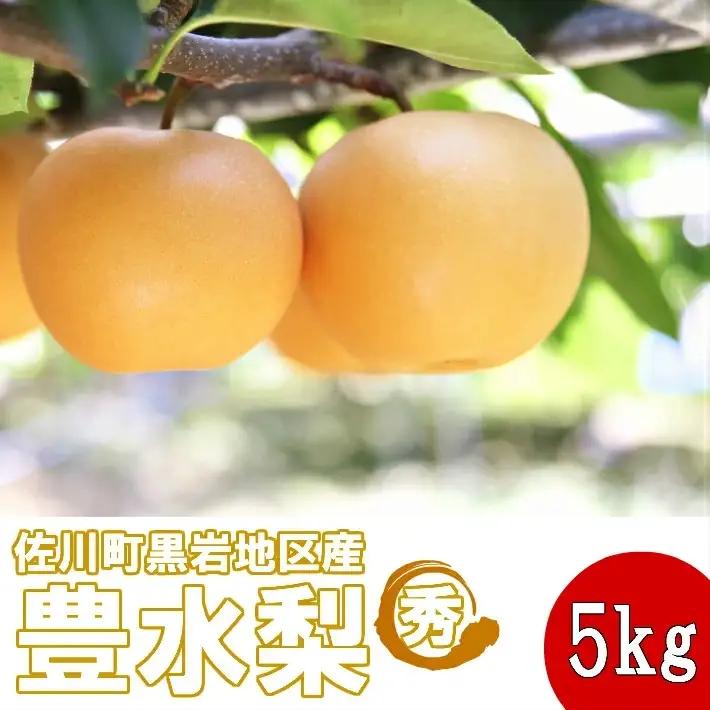 ＜2026年秋発送 先行受付中！＞ 豊水　梨（約５kg／8～12玉）