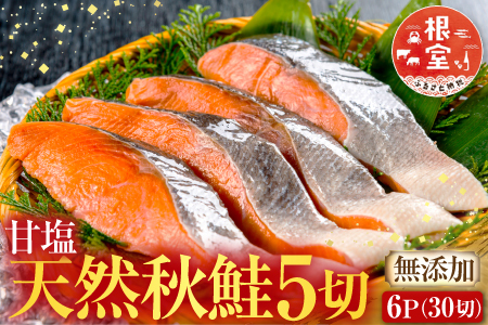 無添加甘塩天然秋鮭切身4切×6P(計24切、約1.2kg) A-14006