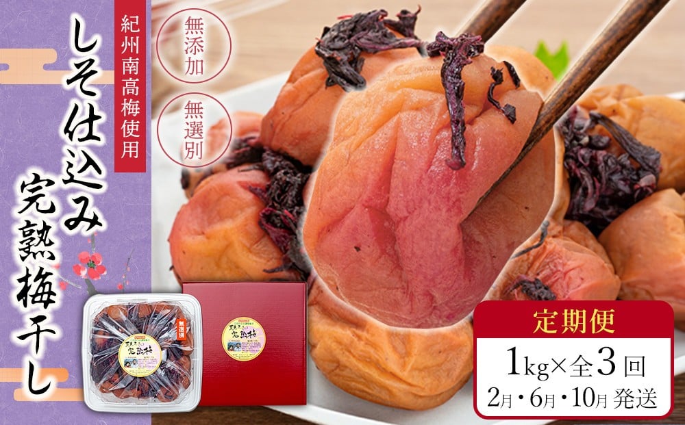 
            【定期便（2月・6月・10月）全3回お届け】 紀州南高梅使用 しそ仕込み完熟梅干し 無選別1kg ［TM214］
          
