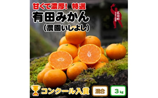 ▼特選有田みかん【創業120年農家直送】 3kg ※11月より順次発送予定 / 有田みかん 温州みかん みかん 【isy004-r-3】