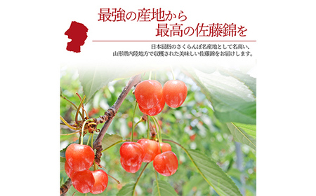 【令和6年産 先行予約】山形県産さくらんぼ 佐藤錦 特秀 L玉 24粒 化粧箱入り FSY-1094