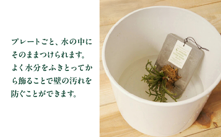 ストーンウッドプレート グレー 土無し インテリア 緑 グリーン 植物 簡単 初心者 かわいい 自然 おしゃれ 送料無料 Green Walk グリーンウォーク 愛知県 豊橋市