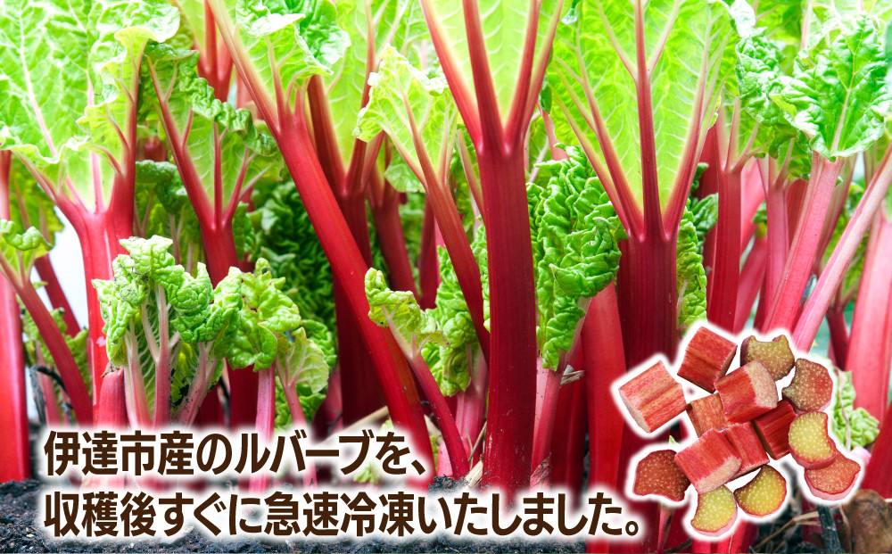 北海道 伊達市産 ルバーブ(B品／冷凍) 2kg｜国産 野菜 ジャム パイ お菓子作り【kzh-014】 2kg