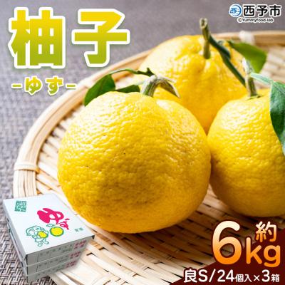 ふるさと納税 西予市 柚子 良 Sサイズ (24個入り) × 3箱&gt; 約6kg ゆず ユズ 国産 柑橘