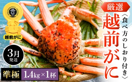 越前がに本場の越前町からお届け！越前がに浜茹で 準極サイズ（生で1.4kg以上）×1杯【3月発送】 [e14-x011_03] 越前町 雄 ズワイガニ ボイル 冷蔵 越前がに 越前ガニ 越前かに 越前カニ
