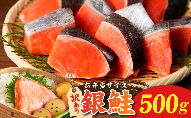 鮭の切り身 500g（11〜13切れ）【お弁当 訳アリ 不揃い 切身 サケ さけ しゃけ シャケ 魚介 海鮮 魚 さかな 大阪 泉佐野 大阪府 泉佐野市】