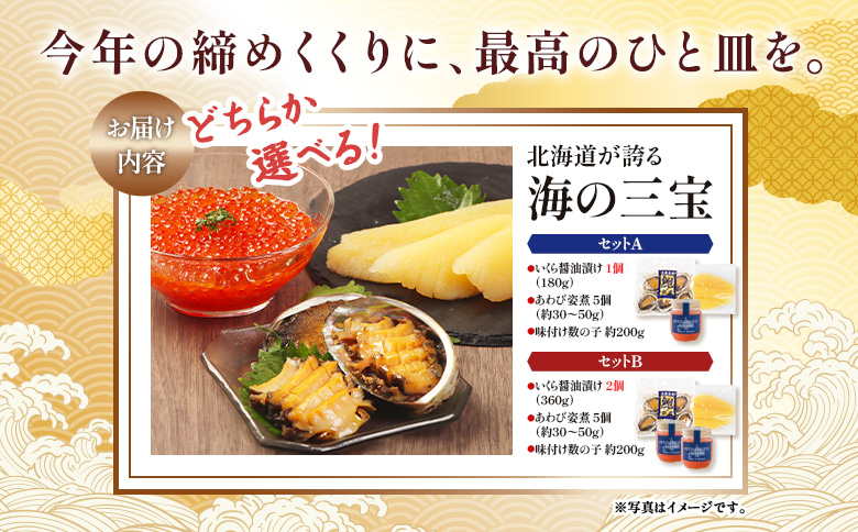 【贅沢詰合せ】北海道 海の幸3種セットB（いくら2個・あわび・味付け数の子）【02168】 セットB（いくら2個・あわび・数の子）