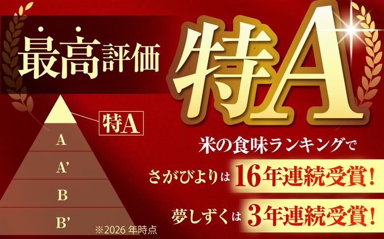 【全3回定期便】 無洗米 食べ比べ さがびより・夢しずく 20kg（各5kg×2袋）【五つ星お米マイスター厳選】特A米 特A評価 [HBL152]