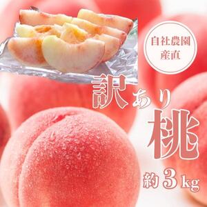【2025年先行受付】【訳あり】完熟収穫桃 約3kg 山梨県産 自社農園産直!【配送不可地域：離島】【1579469】