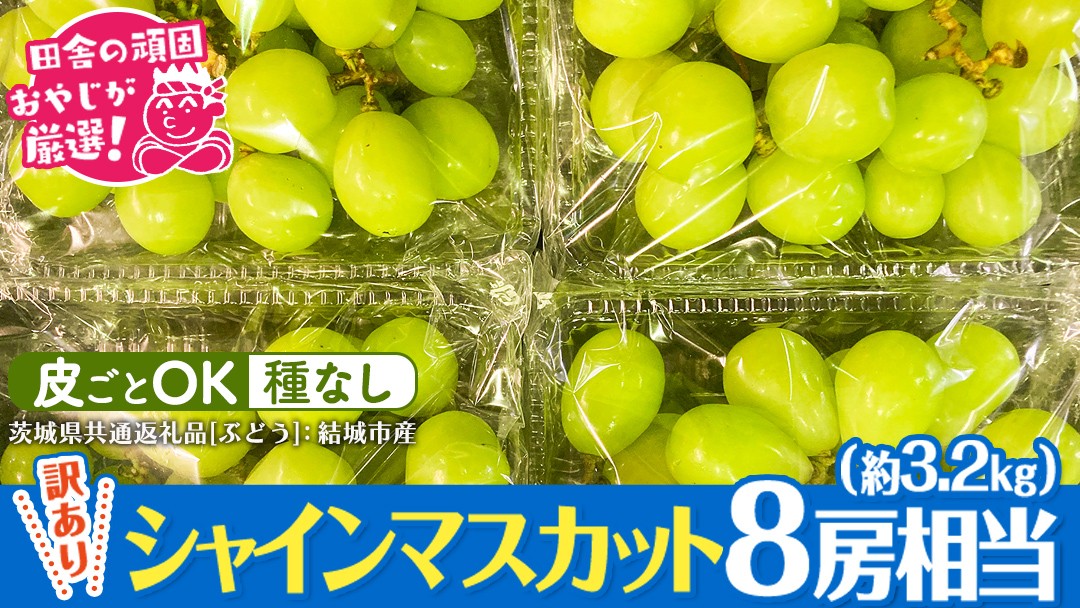 
                  【 訳あり 】 シャインマスカット 8房相当（約3.2kg） 【2026年9月より発送開始】 田舎の頑固おやじが厳選！（茨城県共通返礼品 [ぶどう]：結城市産） 果物 フルーツ 不揃い わけあり 先行予約 家庭用 フルーツ ブドウ 果物 ぶどう シャイン マスカット くだもの 先行予約
                