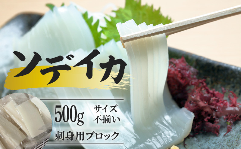 
                  【サイズ不揃い】ソデイカ・刺身用ブロック  500g/沖永良部島特産　W009-056u
                
