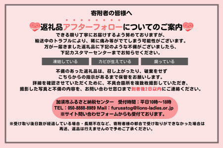 【発送1～4月】天使のいちご　350～400ｇ　白いちご 　【苺】 イチゴ おおきい スイーツ 白い 果物 ふるさと納税 いちご うまい フルーツ 期間限定 人気いちご まるい 甘い いちご 旬 直送
