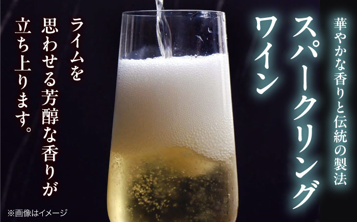 VILLAQUA -グリーン- 750ml×1本 白ワイン ワイン スパークリングワイン 発泡性  辛口 ギフト 広島 三次 酒 三次市 / 広島三次ワイナリー [APAZ151]