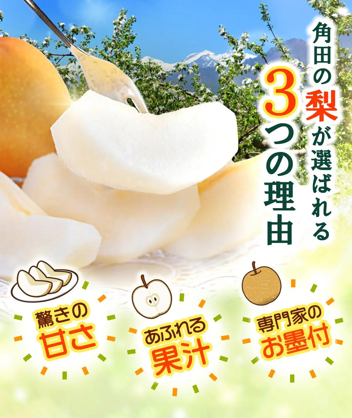  【2026年発送】梨 「新高」約4kg（4～6玉入）【松崎果樹園】｜ 梨 