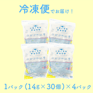 シモノセキギョウザ 120個 冷凍 餃子 IB 【 餃子 】