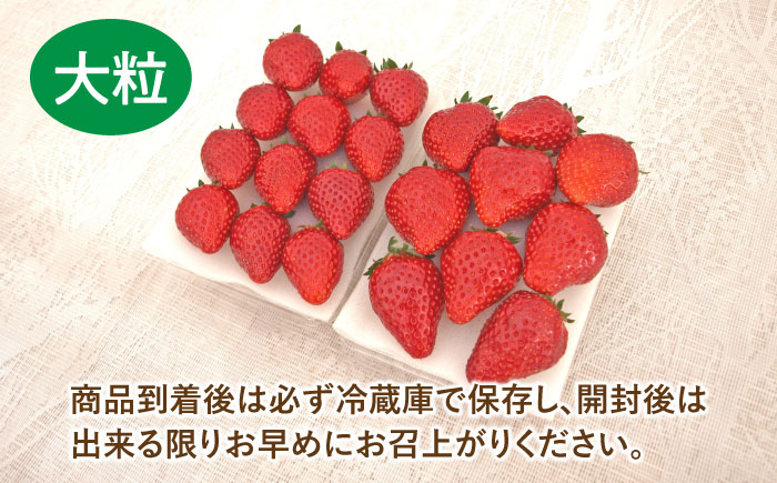 嘉山農園の完熟いちご とちおとめ（300g×2パック）【いちごはうす嘉山農園】 [AKCO001]