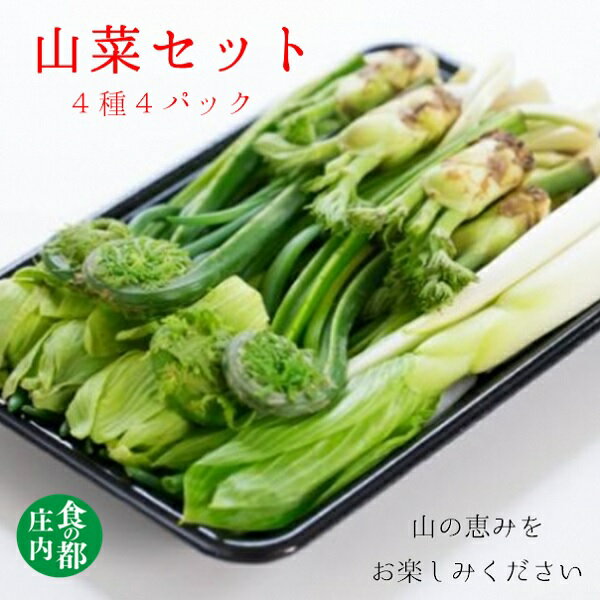 【ふるさと納税】食の都庄内　庄内産季節の山菜セット（4種4パック）（有限会社庄内旬青果）