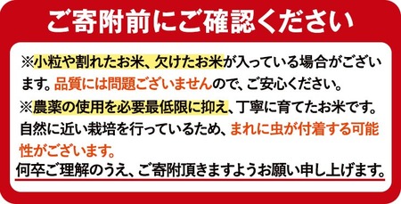 n359 期間限定 コシヒカリ 5kg 国産 鹿児島県産 種子島 こしひかり 米 お米 白米 【なかたね農産】