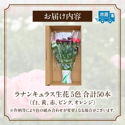 ふるさと納税 高千穂町 ラナンキュラス(2月限定) |  | 02