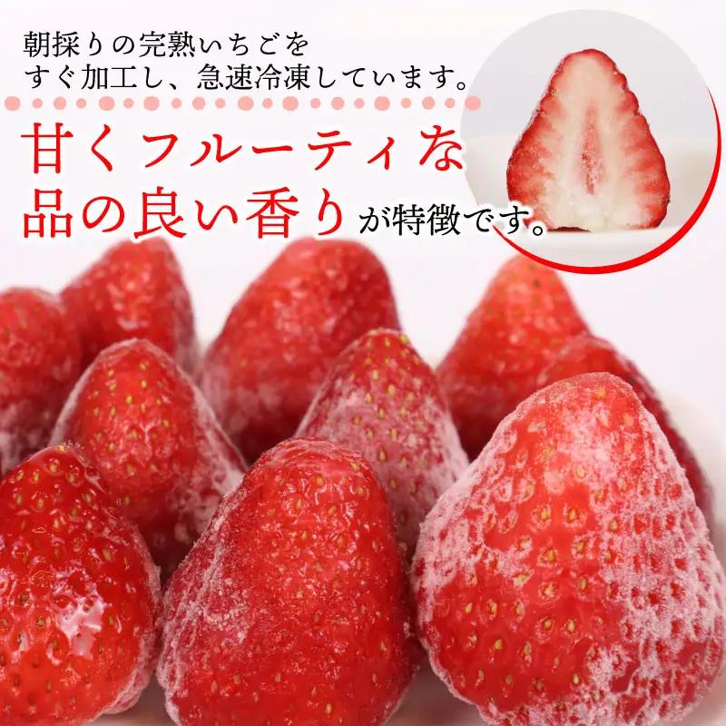 冷凍いちご きらぴ香 3kg 苺 冷凍いちご 【森木農園】
