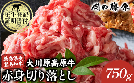 大川原高原牛 赤身切り落とし 750g 肉の藤原《30日以内に出荷予定(土日祝除く)》切り落とし切り落とし切り落とし