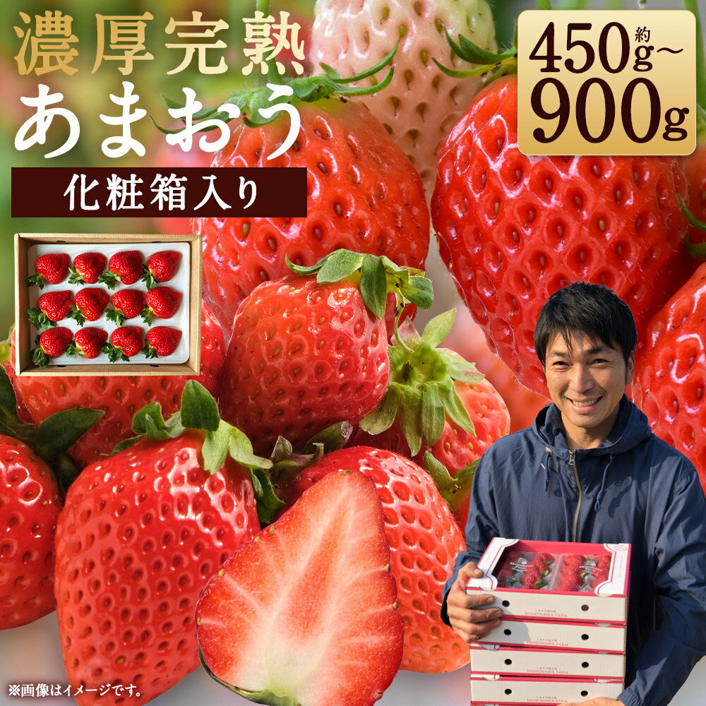 【ふるさと納税】特別栽培の濃厚完熟あまおう 贈答用 約450g/約900g 選べる内容量 いちご イチゴ 苺 くだもの 果物 フルーツ 福岡県産 九州産 パック 冷蔵 化粧箱入り ギフト 贈りもの 送料無料【2026年1月上旬～3月下旬に順次発送予定】