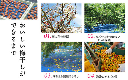 【贈答用】紀州南高梅　白干梅干し　400g　化粧箱入 | ギフト プレゼント 国産 梅干し