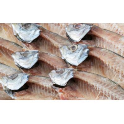 ふるさと納税 室戸市 トロ鯵(アジ)の干物セット定期便【全3回】　あじ干物