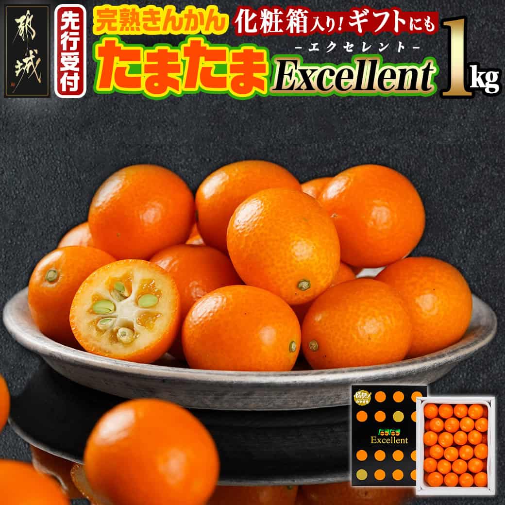【ふるさと納税】《先行予約！》 完熟きんかん「たまたま Excellent」1kg (化粧箱入) - 完熟 金柑 たまたま 宮崎 都城産 完熟きんかんたまたま エクセレント 柑橘 専用化粧箱入り ギフト 贈答用 先行受付 送料無料 AC-0113 【宮崎県都城市は2年連続ふるさと納税日本一！】