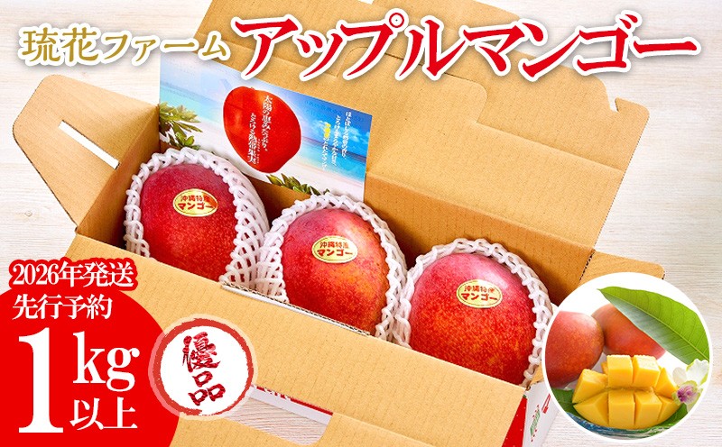 
                  【2026年発送先行予約】アップルマンゴー優品1kg以上 沖縄 おきなわ 優品 家庭用 先行予約 ふるさと納税 送料無料 甘味 糖度 おいしい お土産 アーウィン 果物 くだもの 果実 1キロ 箱入り 食べ物 フルーツ マンゴー
                