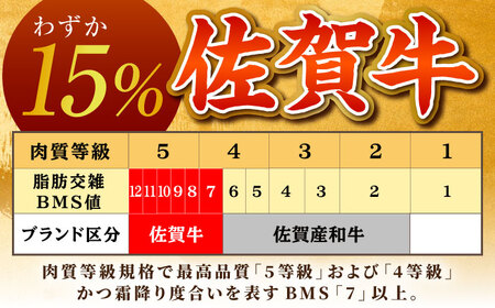 【肉の旨味を凝縮！】佐賀牛 赤身ステーキ 600g 【がばいフーズ】A5ランク 佐賀牛[HCS088]