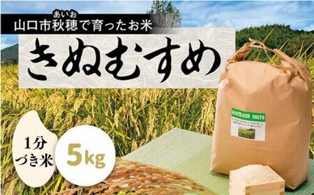 D416 あいお（秋穂）で育ったお米 きぬむすめ 1分づき米 5kg