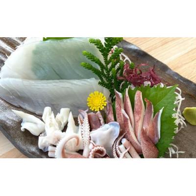 ふるさと納税 香美町 白イカ(冷凍)約1.5kg(5-8杯程度入) |  | 03