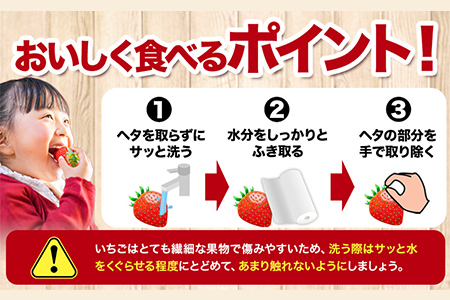 いちご イチゴ 苺 紅ほっぺ 500g (9-12粒) 木村農園《1月上旬-3月中旬頃出荷》｜いちご苺イチゴいちご苺イチゴいちご苺イチゴいちご苺イチゴいちご苺イチゴいちご苺イチゴいちご苺イチゴいちご苺